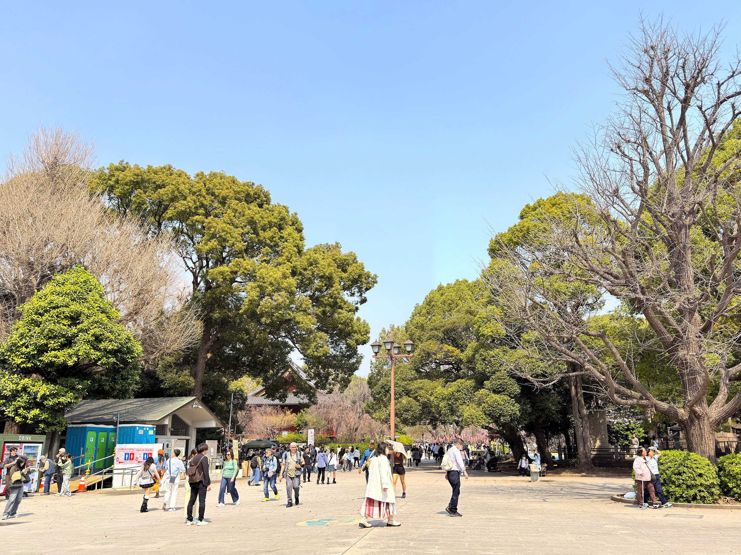 上野恩賜公園_上野恩賜公園