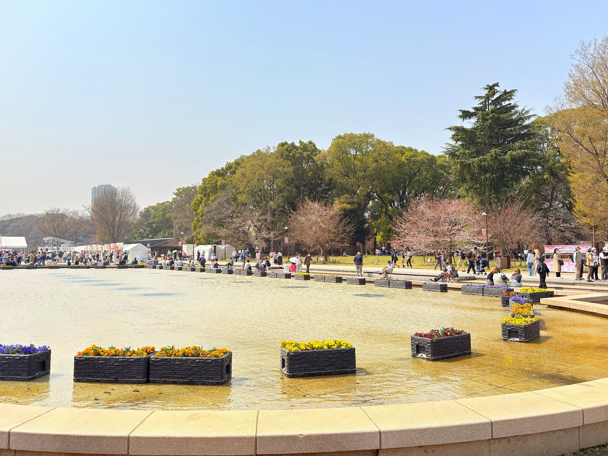 上野恩賜公園_竹の台広場