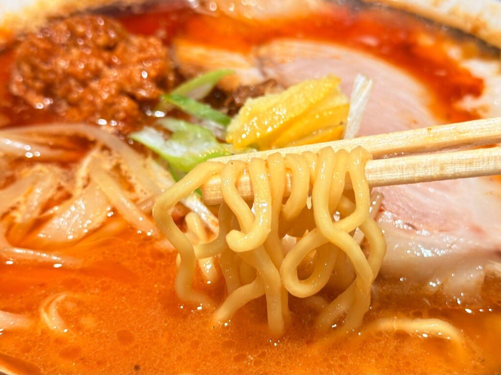 浅草 熟成味噌らーめん のりあき・美々_熟成辛味噌らーめん