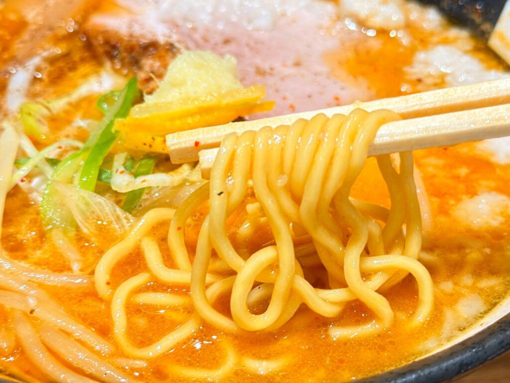 浅草 熟成味噌らーめん のりあき・美々_熟成味噌らーめん