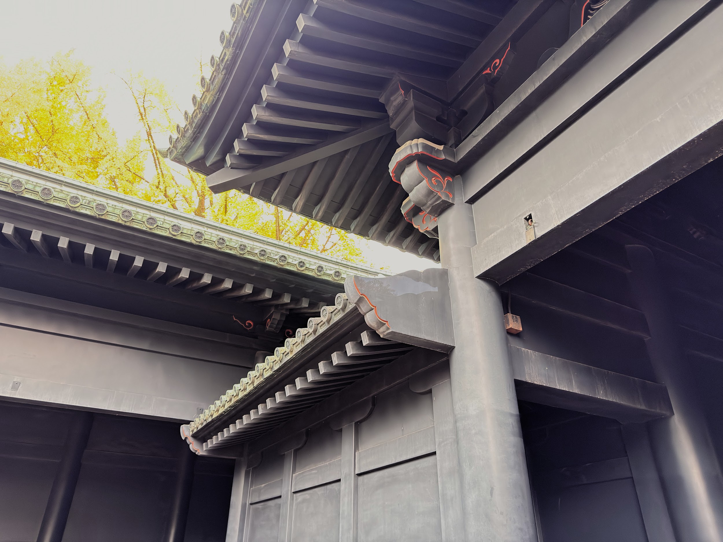 湯島聖堂_杏壇門