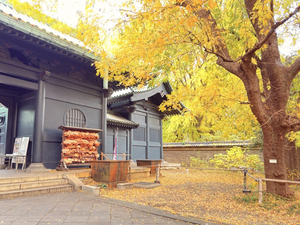 湯島聖堂_杏壇門