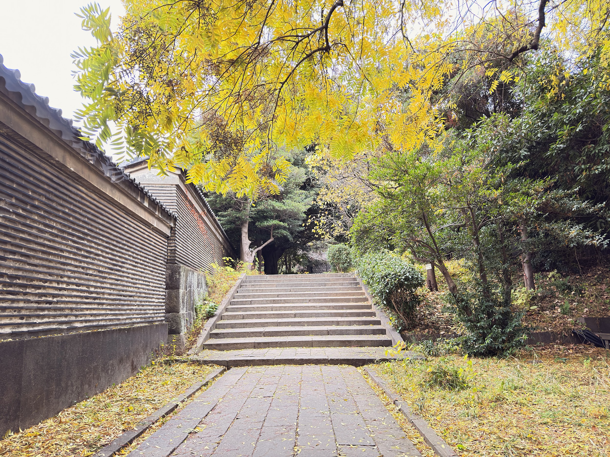 湯島聖堂_大成殿に続く階段