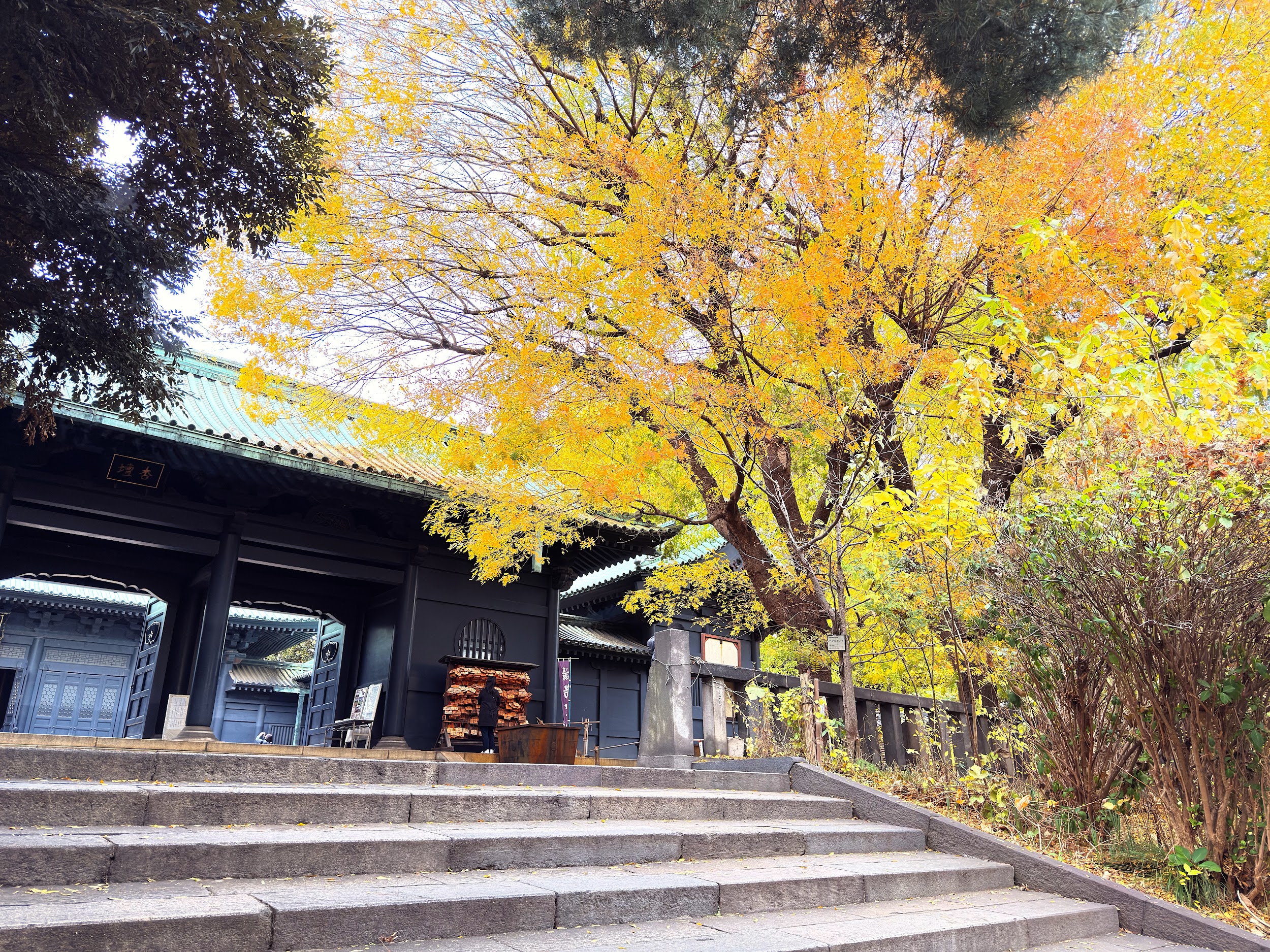 湯島聖堂_杏壇門と大成殿に続く階段