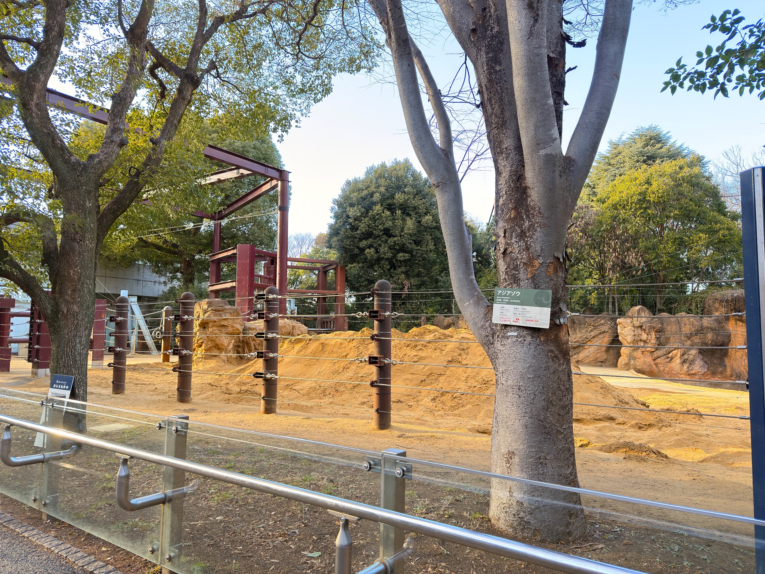 上野動物園_アジアゾウのペアのオリ