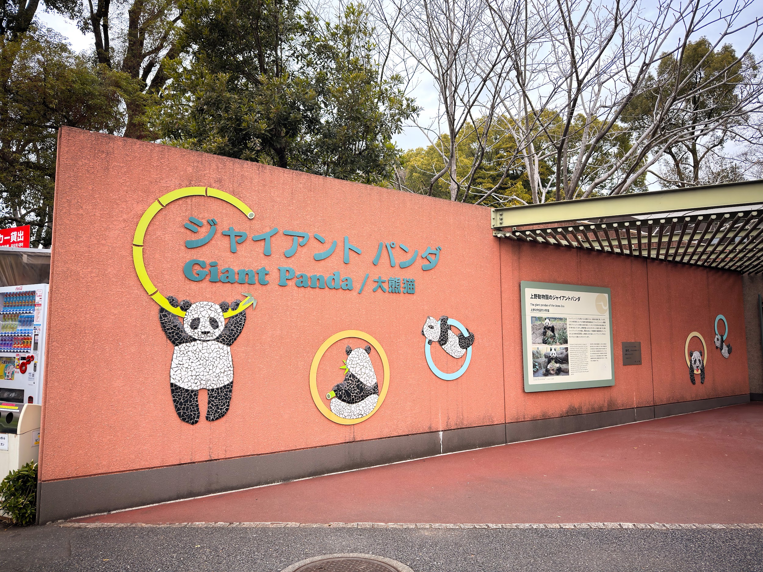 上野動物園_ジャイアントパンダ