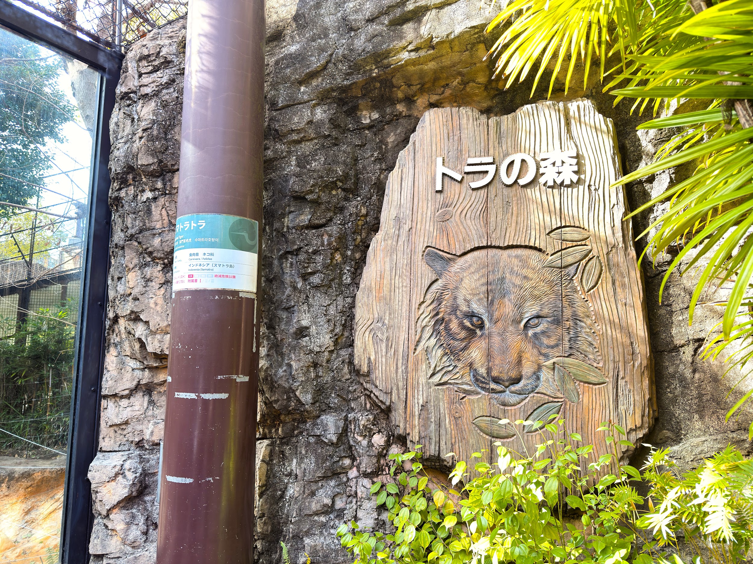 上野動物園_トラの森エリア
