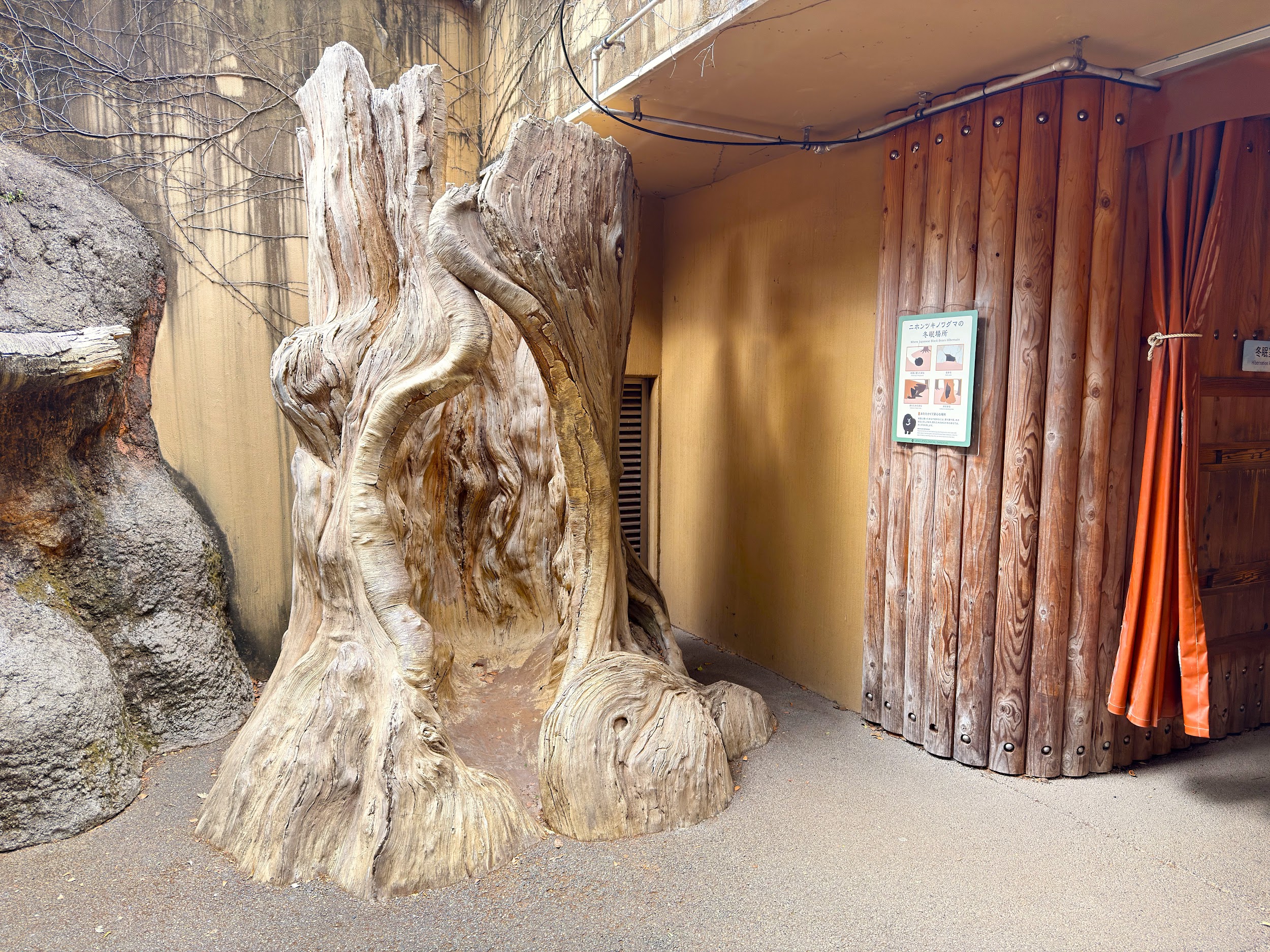 上野動物園_人気のフォトスポット