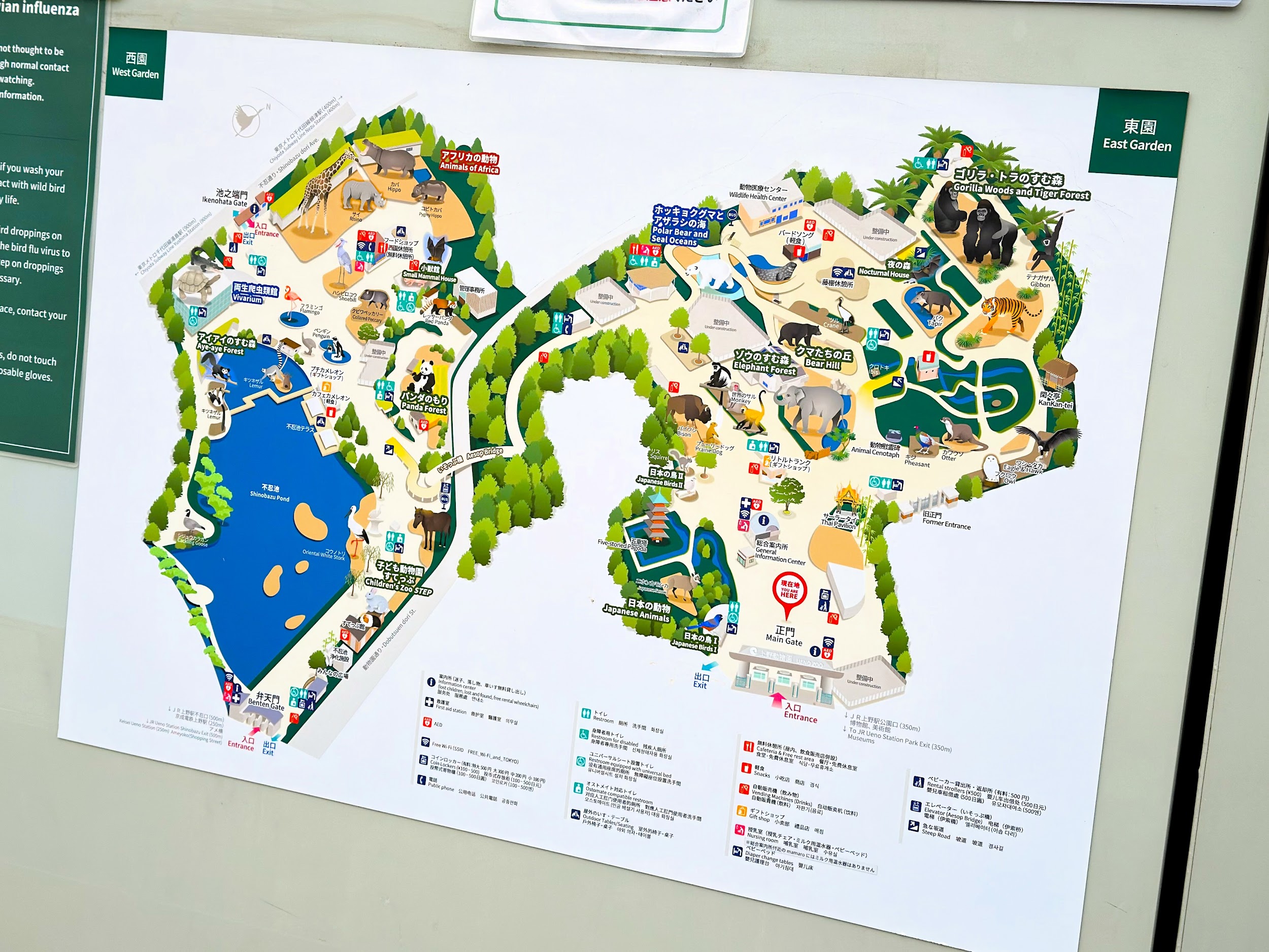 上野動物園_マップ