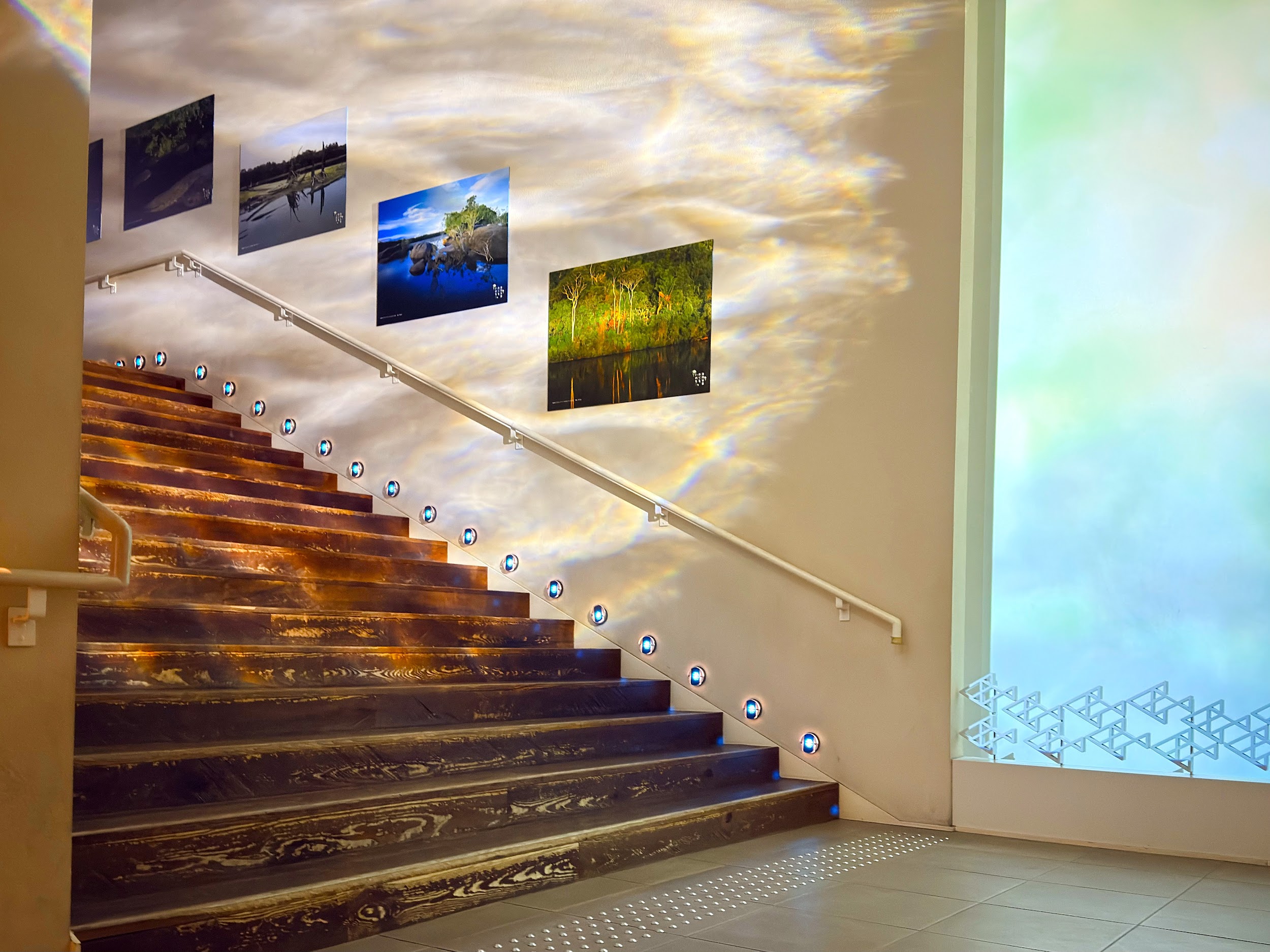 すみだ水族館_写真の展示