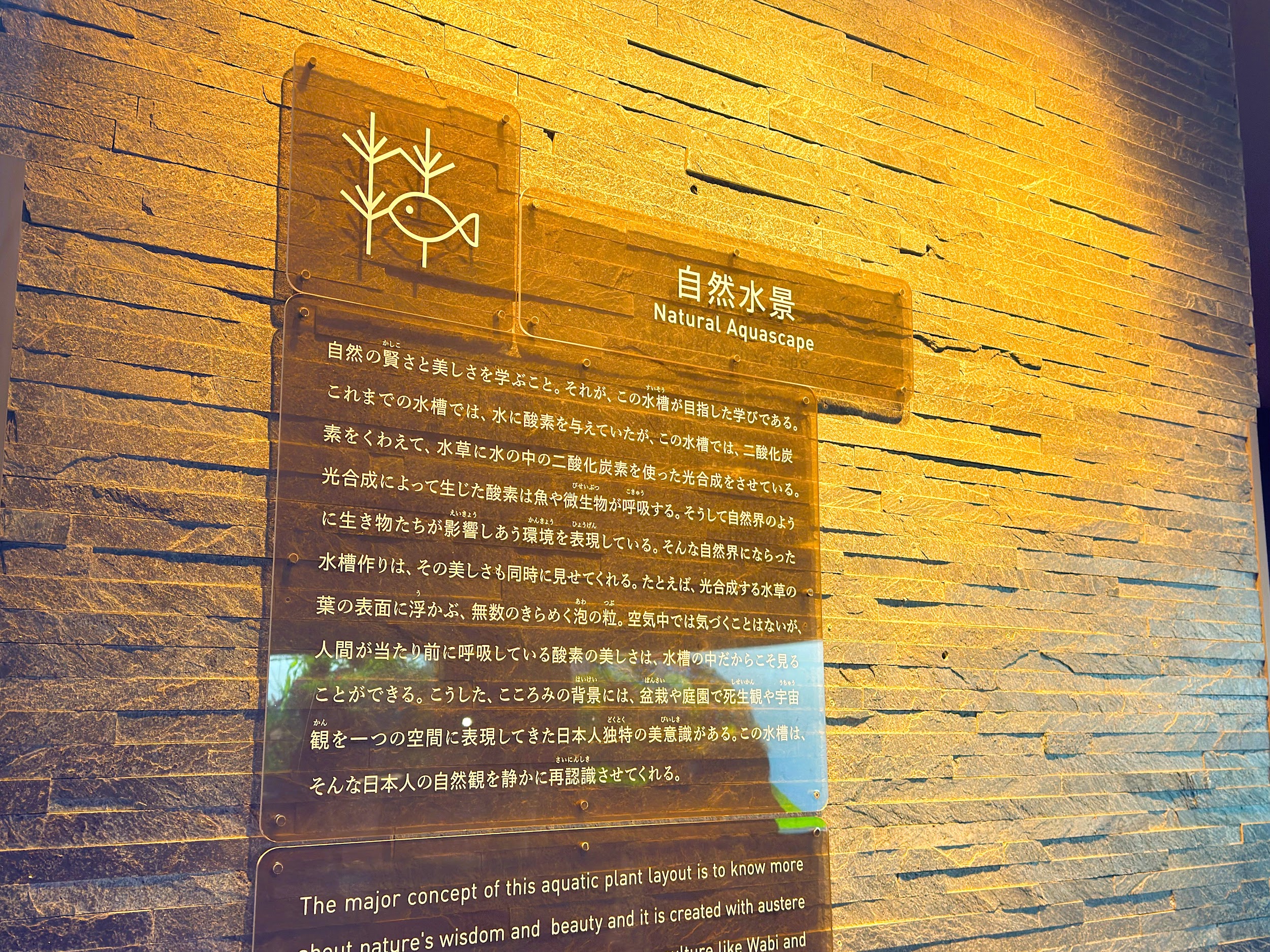 すみだ水族館_自然水景