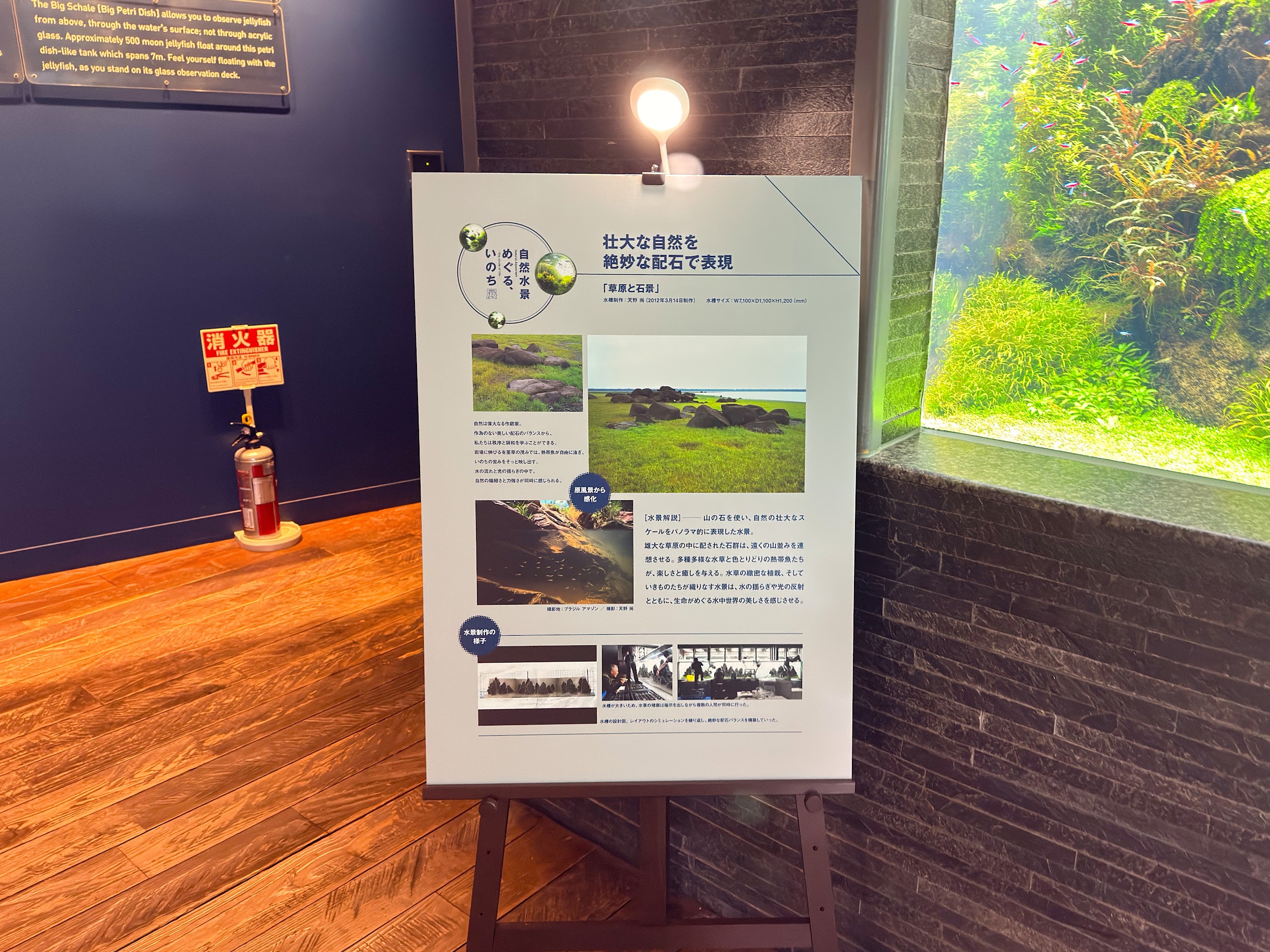 すみだ水族館_作庭家の天野尚さんの手掛けた水槽が展示