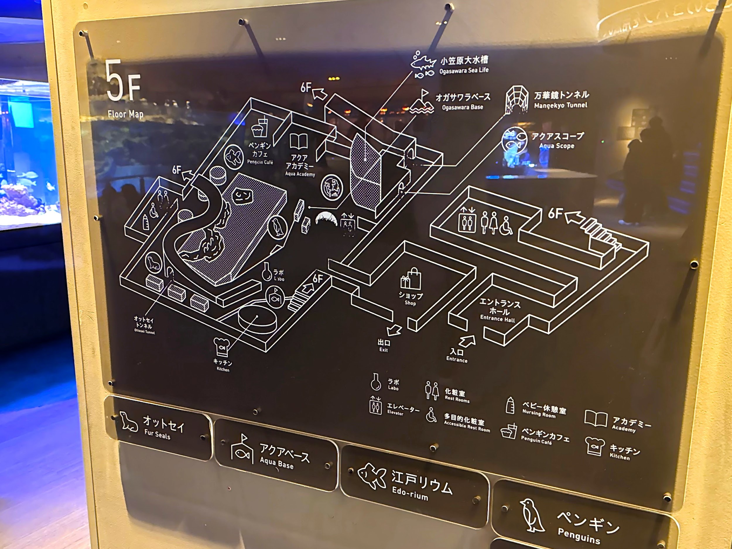 すみだ水族館_マップ
