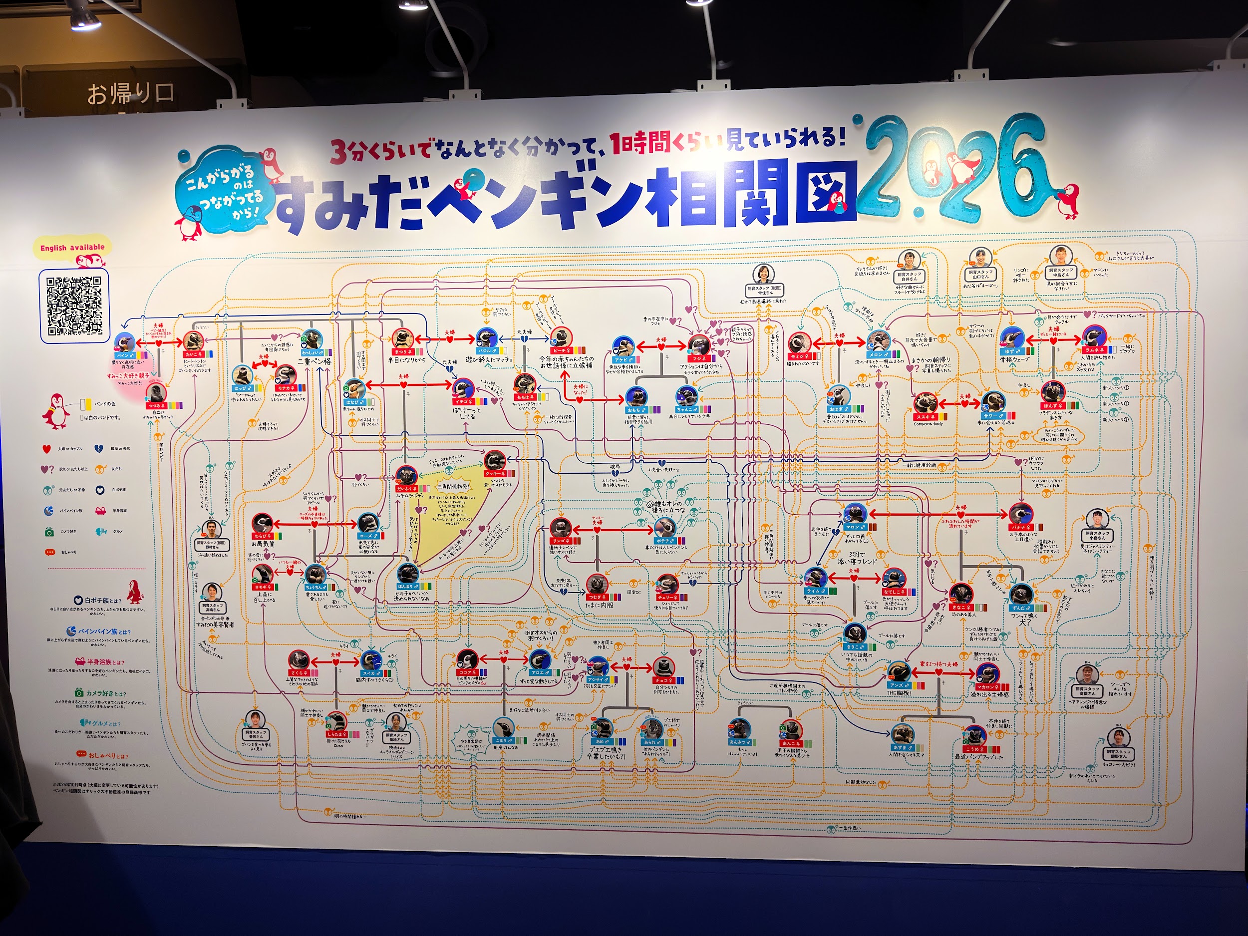 すみだ水族館_すみだペンギン相関図2026