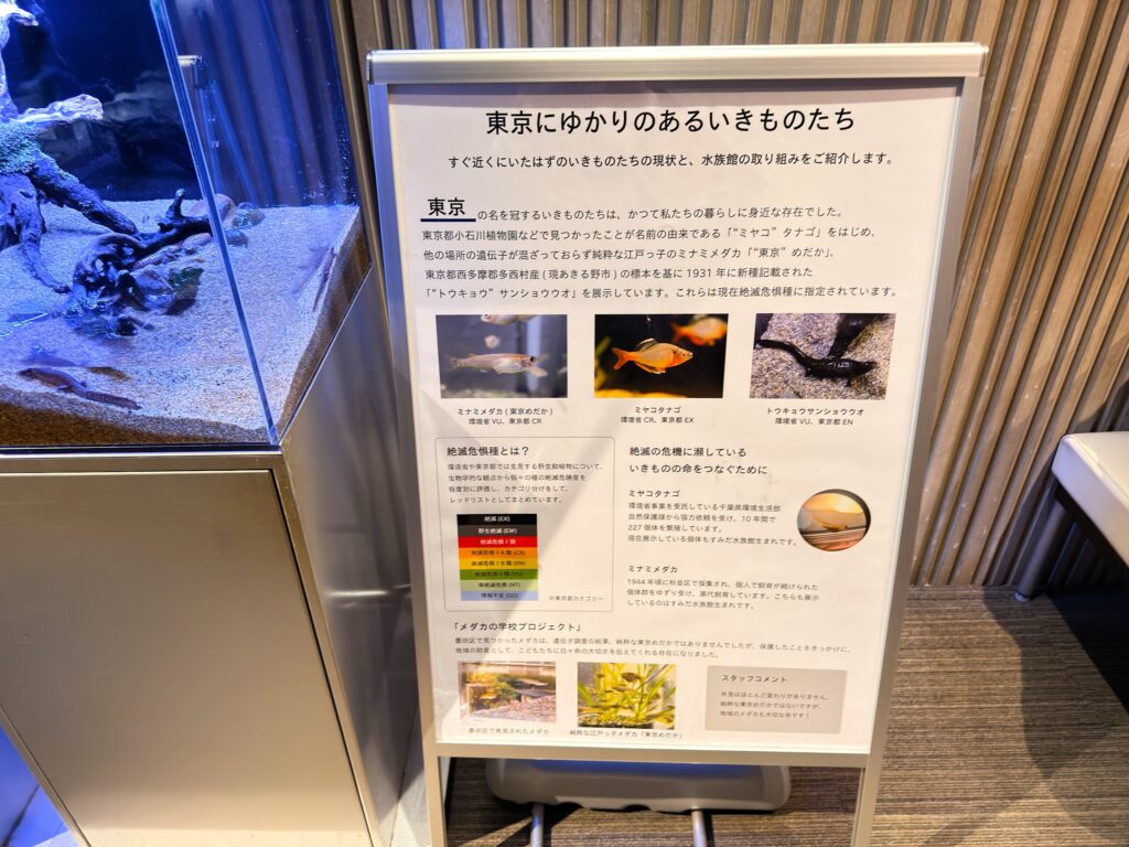 すみだ水族館_東京にゆかりのある生き物たち