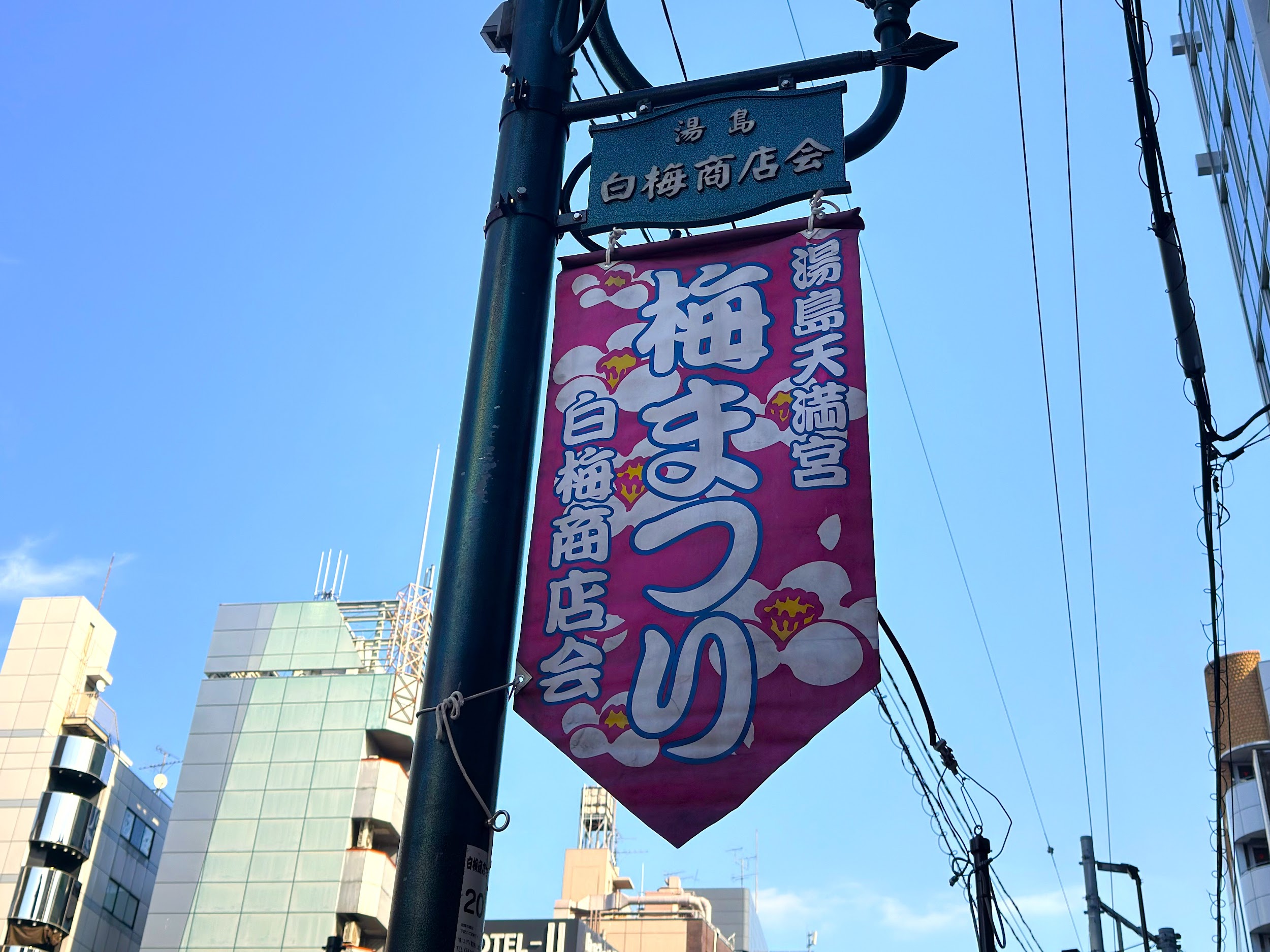 湯島天満宮_「湯島天満宮 梅まつり」の看板