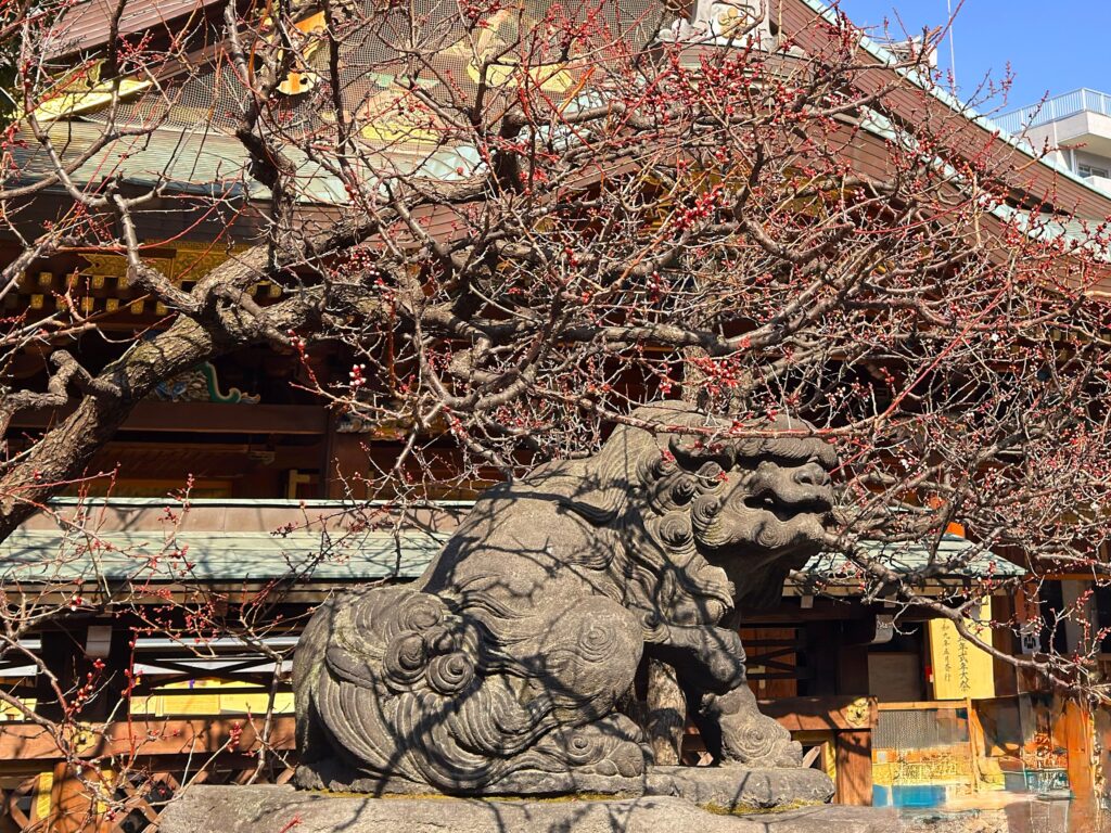 湯島天満宮_梅と像