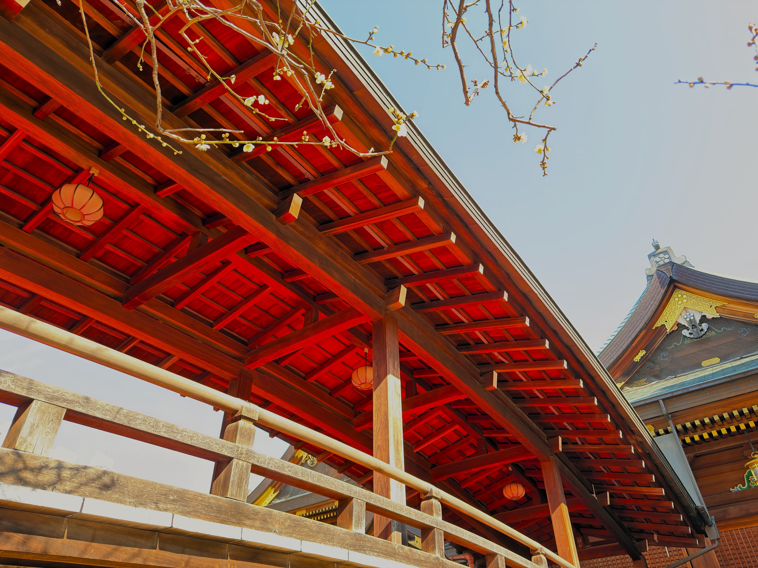 湯島天満宮_社殿