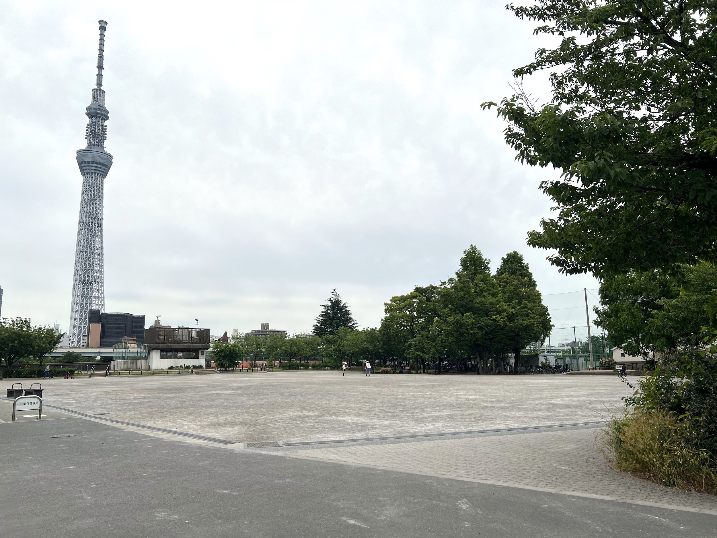 台東区立隅田公園_山谷堀広場