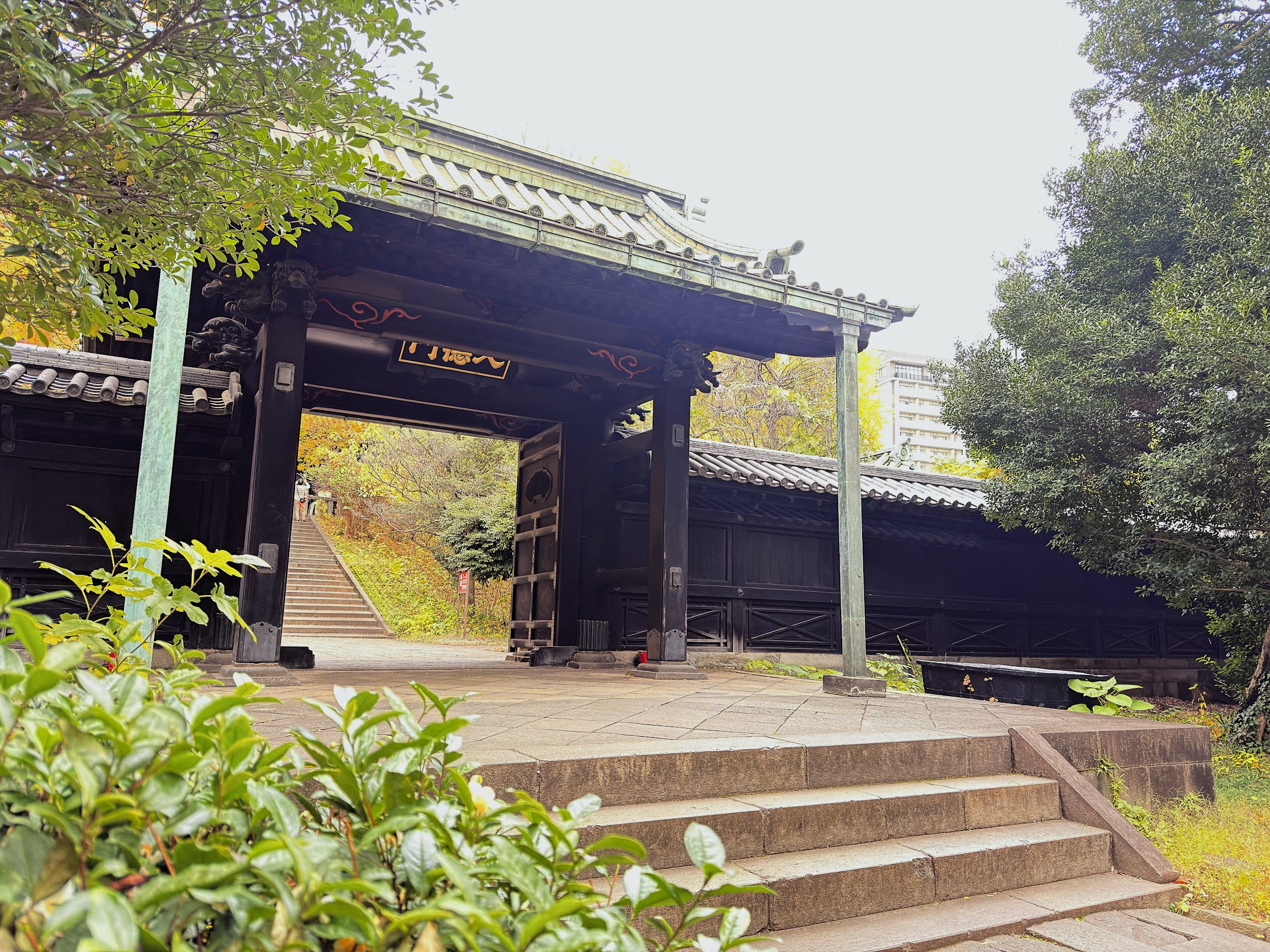 湯島聖堂_入徳門